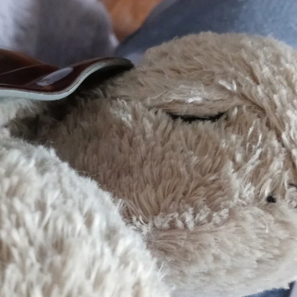 Turtle Dream Lites - Picture 3 of 6